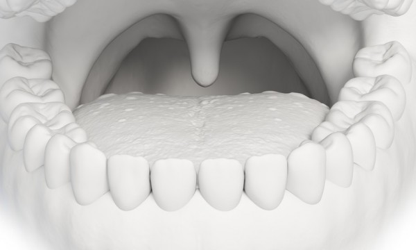 Scoperto un nuovo organo nella gola umana, sono ghiandole salivari tubariche