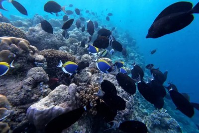 Belleza y esplendor en las islas Maldivas, también fragilidad 