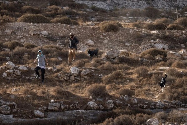 Coloni israeliani in Cisgiordania 