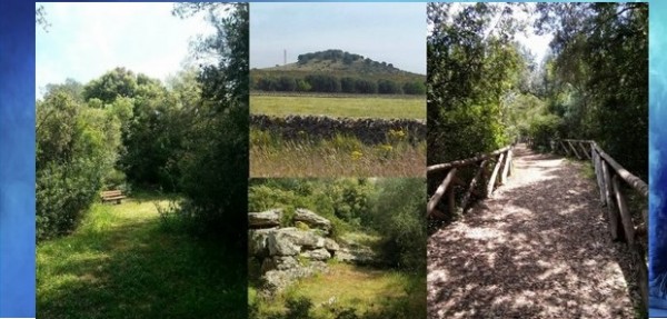 Da Bosco Cuturi a Monte dei Diavoli: la prossima escursione con Legambiente Taranto