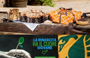 Prenota subito la tua colomba artigianale: aiuti la rinascita dei territori colpiti dal terremoto